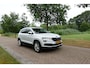 Skoda Karoq 1.5 TSI ACT Business Edition Plus | LED | ACC | Camera | Trekhaak | CarPlay | Stoelverwarming |