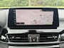 BMW X1 xDrive25e High Executive