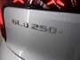 Mercedes-Benz GLB 250+ Business Solution AMG 85.5 kWh | Panoramadak | Trekhaak | MemoryPakket | Sportstoelen | Nightpakket |