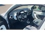 Renault Twingo Z.E. R80 Collection | Apple Carplay/Android Auto | Climate Control | Lichtmetalen velgen |