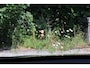 BMW X1 xDrive20i High Executive |Panoramadak |Head-up |M-sport