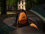 Aston Martin V12 Vantage Roadster | Nr. 211/249 | Pentland Green by Q | Briljant!