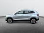 Skoda Karoq 1.0 TSI Business Edition Plus I 1 Jaar garantie