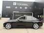 BMW 3-Serie 318i High Executive / Automaat / Leder / Cruise / Climate 18" Inch LMV
