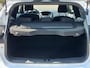 Ford Focus ST-line 1.0 125 PK Nieuwe Distrubitie