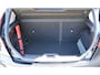 Ford Fiesta 1.0 EcoBoost Black Edition | NAVI | AIRCO | CRUISE | TREKHAAK | PDC | NAP | APK.