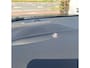 Ford Focus 1.5 EcoBlue Trend Edition Business | Pano | Cruise Control | B&O Sound | Apple Carplay/Android Auto | Sensoren Voor+Achter | Navi | Draadloos Opladen |