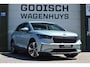 Skoda Enyaq iV 80 | Camera | Stoel/Stuurverwarming | 96 % SOH |