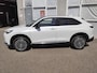 Honda e:Ny1 Advance 69 kWh *4 seizoenbanden*portierbeschermers*panoramadak*