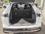 Honda e:Ny1 Advance 69 kWh *4 seizoenbanden*portierbeschermers*panoramadak*