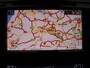 Nissan Qashqai 160pk MHEV Xtronic Business Edition Apple Carplay/Android Auto | Trekhaak afneembaar.