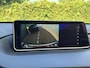 Lexus RX 450h 4WD Trekhaak Pano 'A tot Z Lexus dealer'