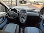 Fiat Panda 1.2 Edizione Cool | GEEN APK | EXPORT