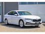 Skoda Octavia 1.5 e-TSI 150pk DSG Business Edition | Trekhaak | Achteruitrijcamera | Apple Carplay & Android Auto