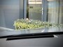 Audi e-tron Sportback S Quattro Nardo grey/Pano/Sfeer/96%SOH