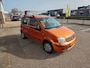 Fiat Panda 1.2 Edizione Cool