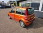 Fiat Panda 1.2 Edizione Cool