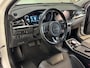 Kia Niro EV e-Niro DynamicLine 39kWh 3-Fase | SoH 100% | Navi | Camera