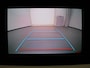 Renault Twingo Z.E. R80 Collection Apple Carplay/Android Auto | Climate