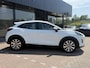 Ford Puma 1.0 EcoBoost Hybrid Titanium TREKHAAK | APPLE CARPLAY / ANDROID AUTO | NAVI | PARKEERSENSOREN | LED | AIRCO/ECC | CRUISE
