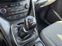 Ford Grand C-Max BWJ 2017 | 1.0T 126 PK Titanium | STOEL&STUUR VERW | PARKPILOT | CARPLAY | CLIMA | NAVI | PDC 2X | PRIVACY GLASS |
