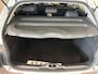 Citroën C4 Cactus 1.2 PureTech Business Plus panorama dak cruise control airco