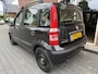 Fiat Panda 1.2 Dynamic NIEUWE APK / N.A.P. / RIJDT GOED