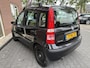 Fiat Panda 1.2 Dynamic NIEUWE APK / N.A.P. / RIJDT GOED