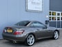Mercedes-Benz SLK 200 CarbonLOOK Edition Navigatie/18inch.