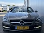 Mercedes-Benz SLK 200 CarbonLOOK Edition Navigatie/18inch.