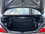 Mercedes-Benz SLK 200 CarbonLOOK Edition Navigatie/18inch.
