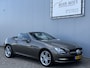 Mercedes-Benz SLK 200 CarbonLOOK Edition Navigatie/18inch.