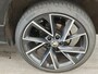 Skoda Karoq 1.5 TSI 150pk Automaat Sportline Business | Panoramadak | Stuur- en Stoelverwarming | Camera | PDC V+A | CarPlay | 19"