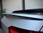 Volkswagen T-Roc Cabrio 1.5 TSI R-Line, ACC, Leer, Camera, Windscherm, 19"