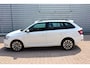 Skoda Fabia Combi 1.0 TSI Business Edition O.a: PDC, Carplay, Cruise, Airco, DAB, Rijklaar, Etc. All-in prijs!