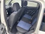Fiat Panda 1.2 Edizione Cool
