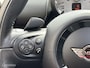 MINI Countryman 1.6 Cooper S ALL4 Chili Automaat / Schuifdak / Leder / fm nav / Xenon