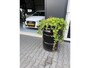 Opel Karl 1.0 ecoFLEX Edition