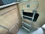 Ford Camper NUGGET