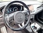 Kia Niro EV e-Niro DynamicPlusLine 64 kWh | SOH: 97,0% | 3 Fase | Warmtepomp | JBL-Audio | Adaptive CC | Climate Control |