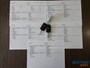 Kia Picanto 1.0 CVVT Comfort Pack | Airco | 5-deurs | CarPlay | NAP