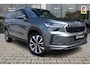 Skoda Kodiaq 1.5 TSI PHEV Business Edition | Pano | Trekhaak | Memory |