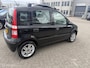 Fiat Panda 1.2 Emotion,Elk.Pano Dak,NAP!