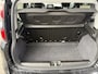 Fiat Panda Cross 1.0 Hybrid Pandina