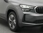 Skoda Kodiaq Business Edition 1.5 TSI PHEV | Trekhaak | Getinte ramen