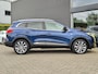 Renault Kadjar TCe 130 Bose Camera + P-sensoren, Dode hoek bewaking, BOSE Audio, Navigatie