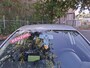 Volkswagen Polo 1.2-12V ZO INGERUILD DUS ZO WEG PRIJSJE