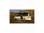 Volkswagen California Ocean Edition 1.5 eHybrid 180 kW / 245 PK DSG 4Motion 734249