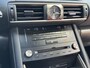 Lexus IS 300h Hybrid F-Sport Dakraam DEALER ONDERHOUDEN