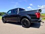 Ford F-150 USA 3.5 V6 Ecoboost SuperCrew Platinum Panodak Leder Clima Trekhaak Stoelverwarming/Koeling Gas Camera treeplank NAPBTW